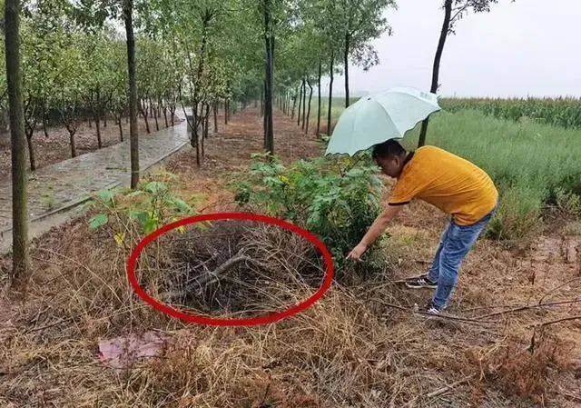 山西女教师新婚8个月遇害！警方掘坟提取DNA<strong></p>
<p>河北省交易中心服务平台</strong>，丈夫被判无罪后再受审
