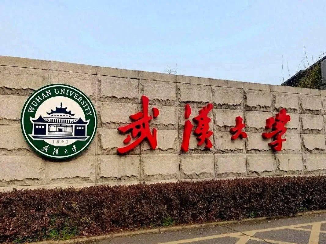 害人害己！武大杨某踢到铁板<strong></p>
<p>河北省交易中心服务平台</strong>，知情人曝将被开除，到手的博士难保