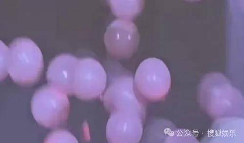 调侃“接受不了生女儿”被骂好几天<strong></p>
<p>lbank交易平台</strong>，他自曝差点因此家庭破裂......