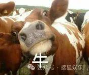 调侃“接受不了生女儿”被骂好几天<strong></p>
<p>lbank交易平台</strong>，他自曝差点因此家庭破裂......