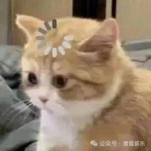 离婚三年又被拍到亲密逛超市<strong></p>
<p>币兑网交易平台</strong>，他俩这是纯带娃还是真复合了？