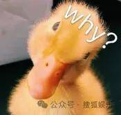 从爆红到突然消失好几年<strong></p>
<p>炒币哪个平台好</strong>，再出现已经胖到大家不敢认了？