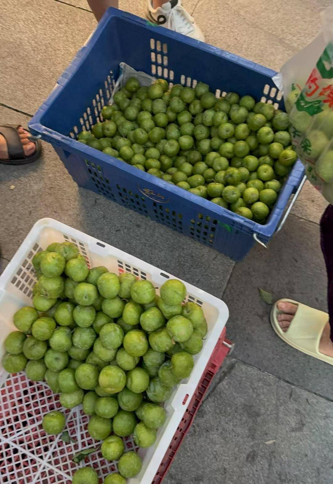 成都街头9.8元/斤的“蜂糖李”其实是青脆李？专家：存在以次充好情况<strong></p>
<p>炒币要买平台币吗</strong>，注意辨认｜追踪到底