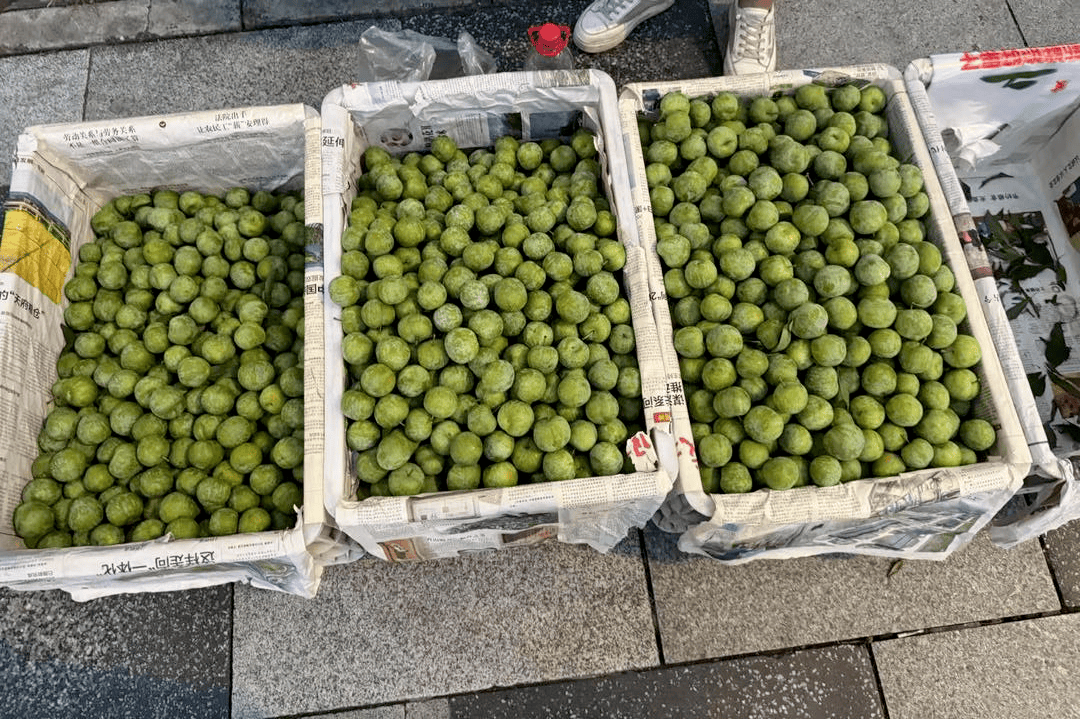 成都街头9.8元/斤的“蜂糖李”其实是青脆李？专家：存在以次充好情况<strong></p>
<p>炒币要买平台币吗</strong>，注意辨认｜追踪到底