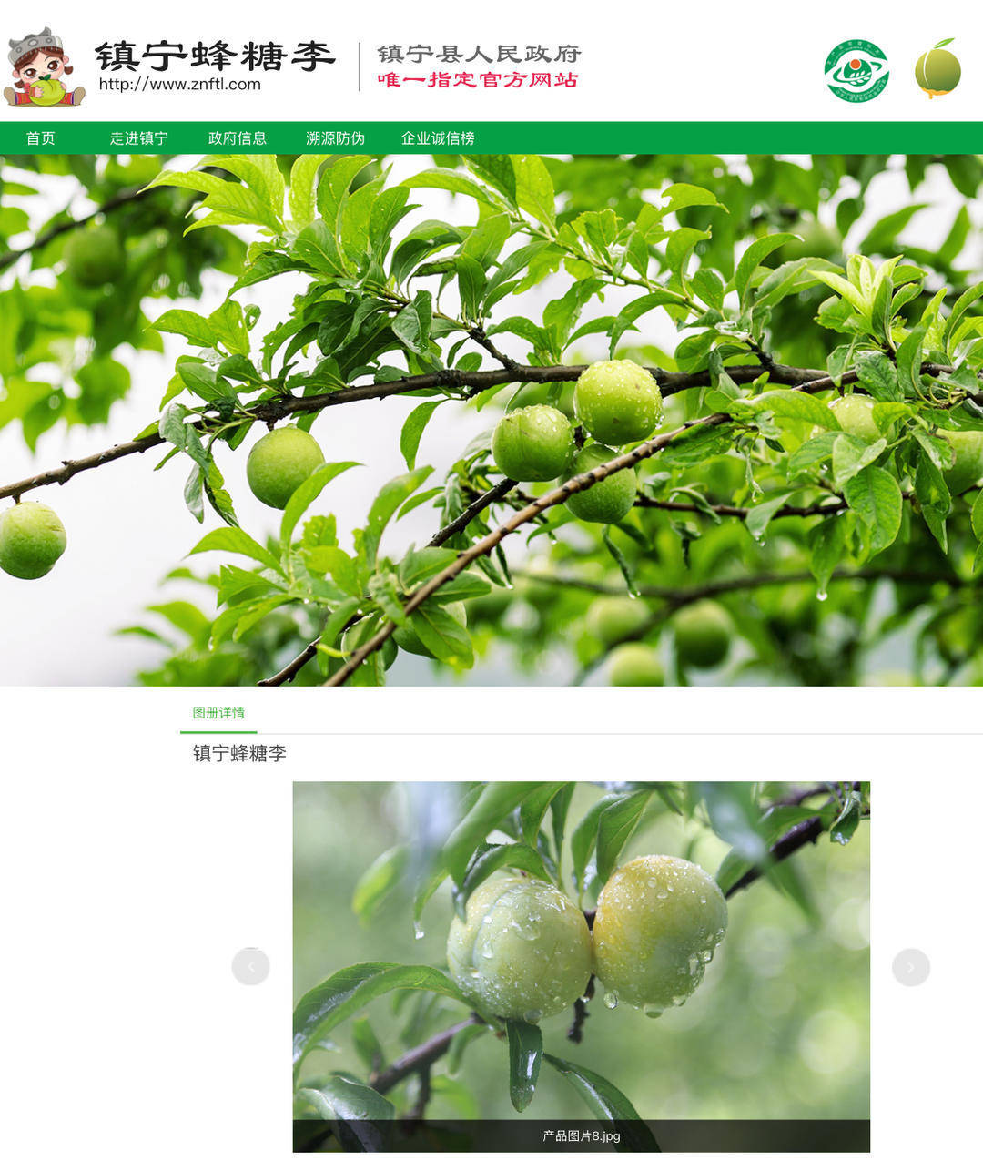 成都街头9.8元/斤的“蜂糖李”其实是青脆李？专家：存在以次充好情况<strong></p>
<p>炒币要买平台币吗</strong>，注意辨认｜追踪到底