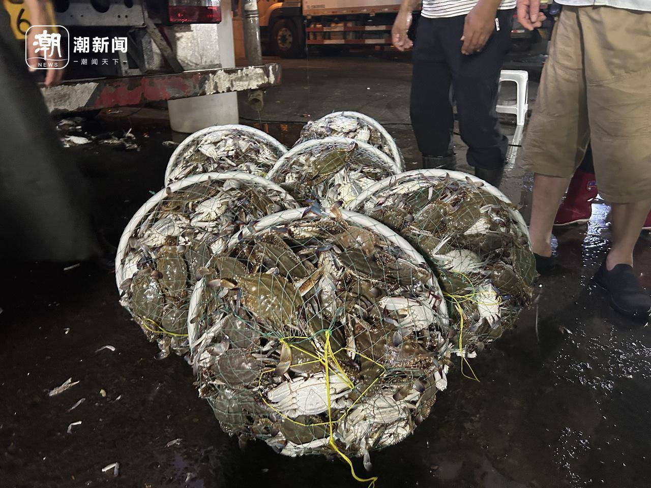 起猛了！东海梭子蟹2元/斤<strong></p>
<p>火币网官网</strong>，杭州市场到货量惊人