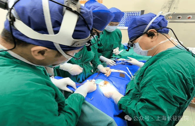 全球罕见<strong></p>
<p>中国石油股票代码</strong>！中国医生救回“身首离断”患者