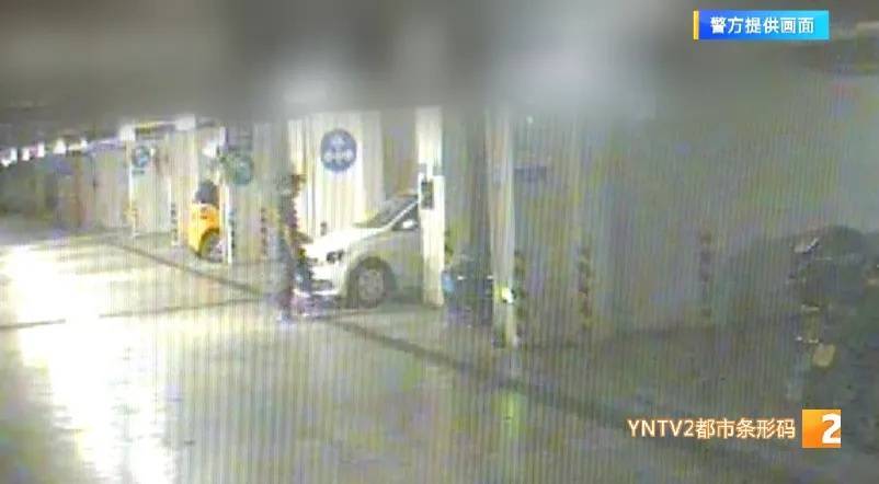 凌晨怪事！男子提着茅台袋子在车库<strong></p>
<p>中国石油股票代码</strong>，翻垃圾桶竟为了.....