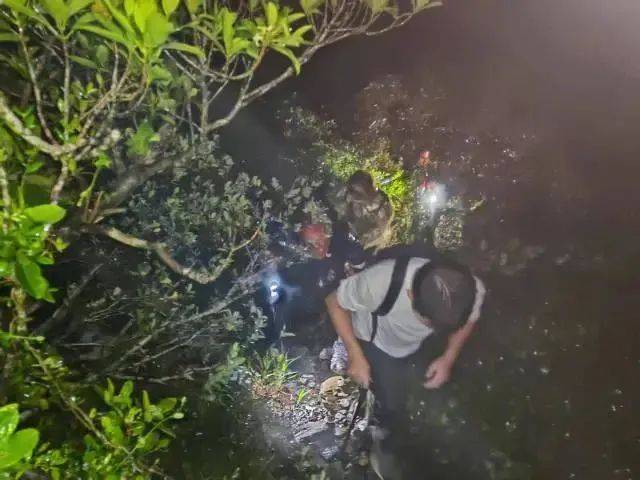 每人罚款5000元<strong></p>
<p>中国石油股票代码</strong>！深圳开出全国首张罚单