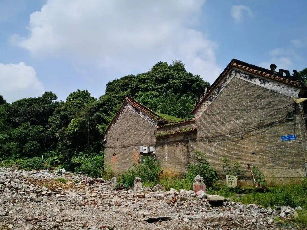 广东“录像厅杀人案”3名凶手被核准死刑！31年了<strong></p>
<p>000596股票</strong>，她终于等来这一天……