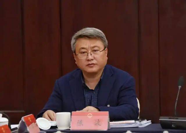 受贿数额特别巨大、滥用职权致国家利益遭重大损失<strong></p>
<p>000596股票</strong>，陈波被公诉