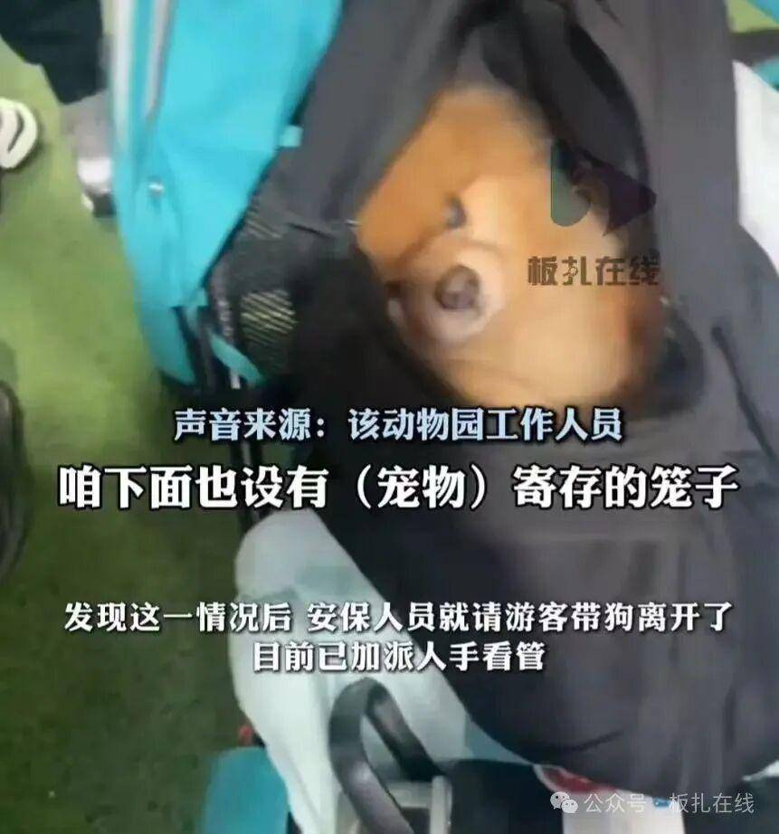 游客带宠物狗进熊猫馆？园方：放包里偷带进去的<strong></p>
<p>璞泰来股票</strong>，已加强管理