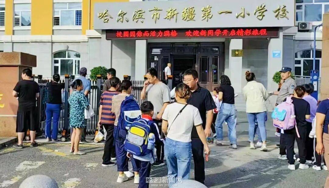 我们<strong></p>
<p>股票下跌</strong>，开学啦