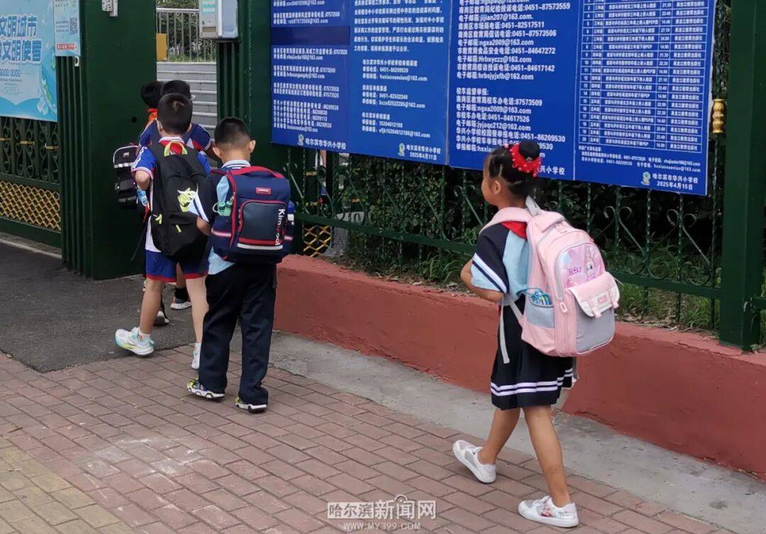 我们<strong></p>
<p>股票下跌</strong>，开学啦