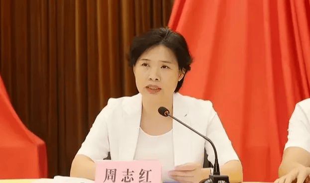 中共中央批准<strong></p>
<p>远大智能股票</strong>，开除周志红党籍