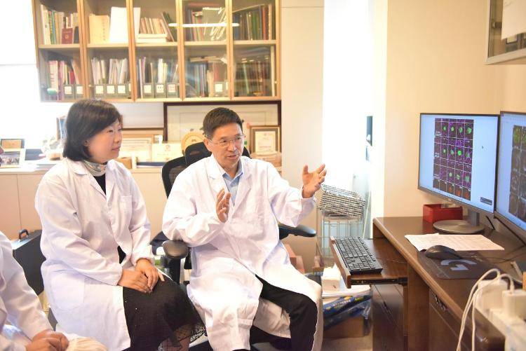 科研新突破<strong></p>
<p>闽东电力股票</strong>！我国科学家破解植物细胞全能性世纪难题