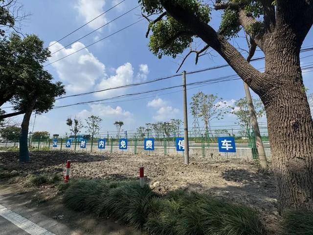上海著名地标宣布：24小时内可免费停车<strong></p>
<p>金城医药股票</strong>！