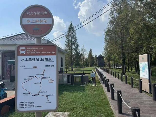 上海著名地标宣布：24小时内可免费停车<strong></p>
<p>金城医药股票</strong>！