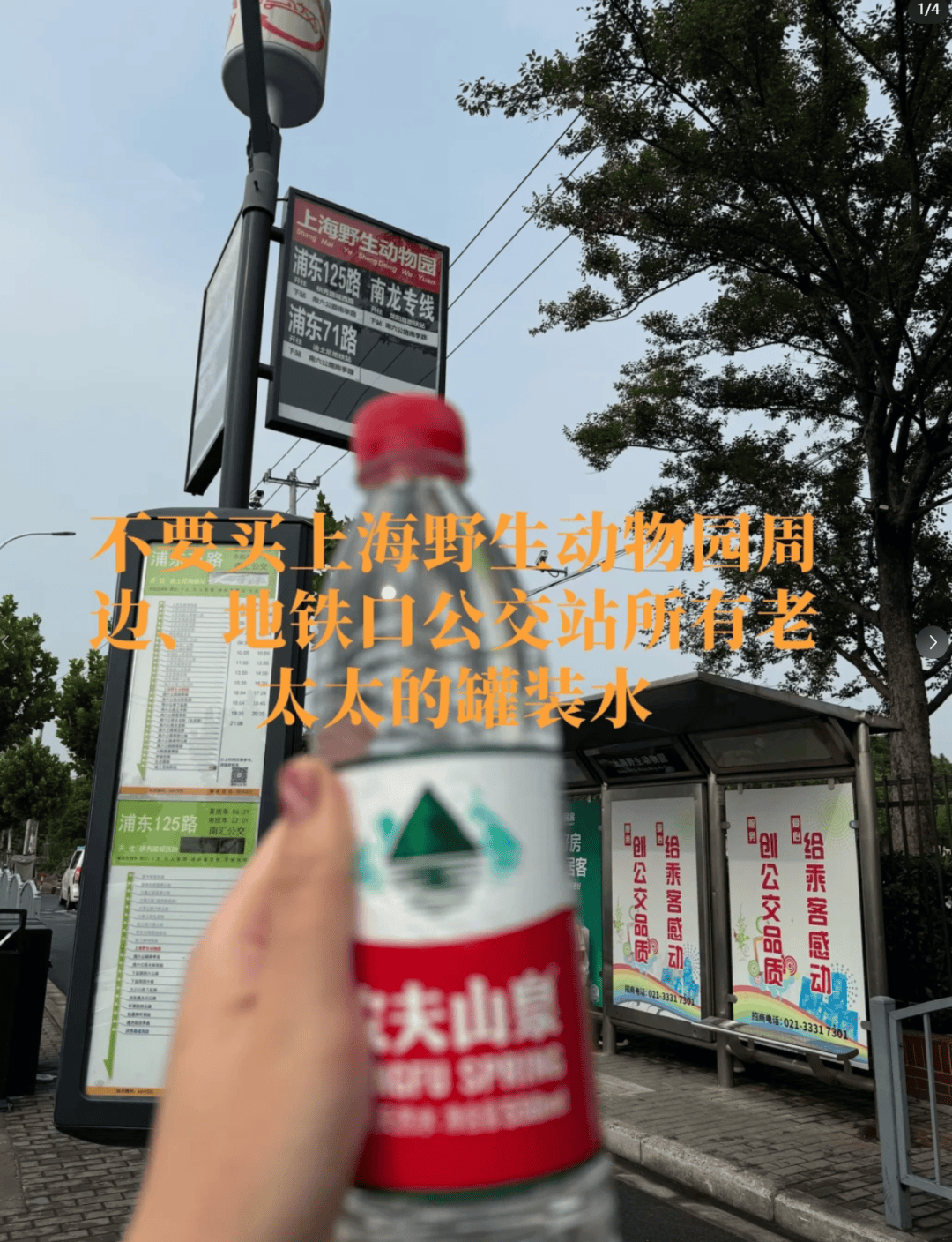 恶心！上海知名景区门口有人卖不明饮料<strong></p>
<p>金城医药股票</strong>，不少游客中招，城管部门已介入调查