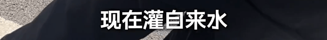 恶心！上海知名景区门口有人卖不明饮料<strong></p>
<p>金城医药股票</strong>，不少游客中招，城管部门已介入调查
