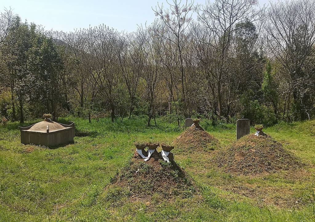 公职人员占他人耕地屡次修坟<strong></p>
<p>山东威达股票</strong>，得管管乡村恶霸