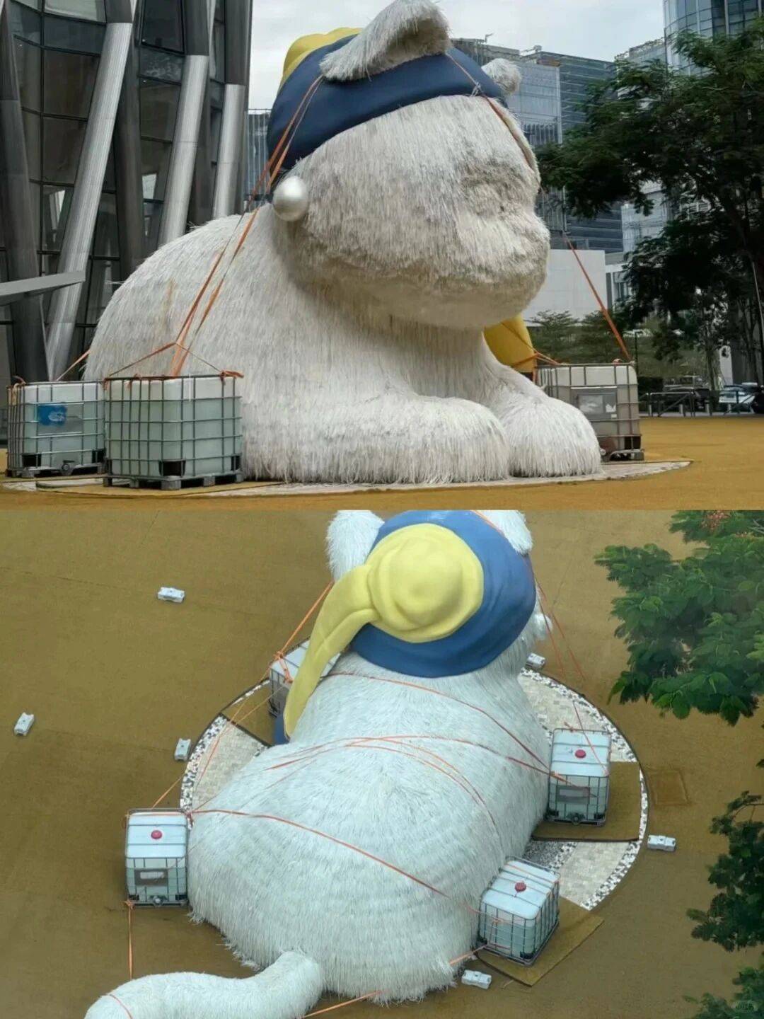 个头大过广东！谨防风王“桦加沙”<strong></p>
<p>龙星化工股票</strong>，深圳人太硬核！这些务必码住