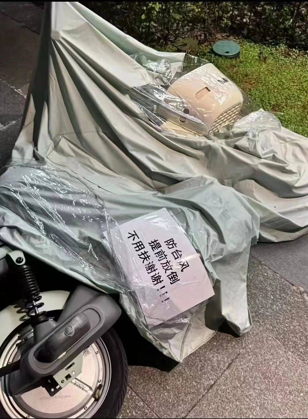 个头大过广东！谨防风王“桦加沙”<strong></p>
<p>龙星化工股票</strong>，深圳人太硬核！这些务必码住