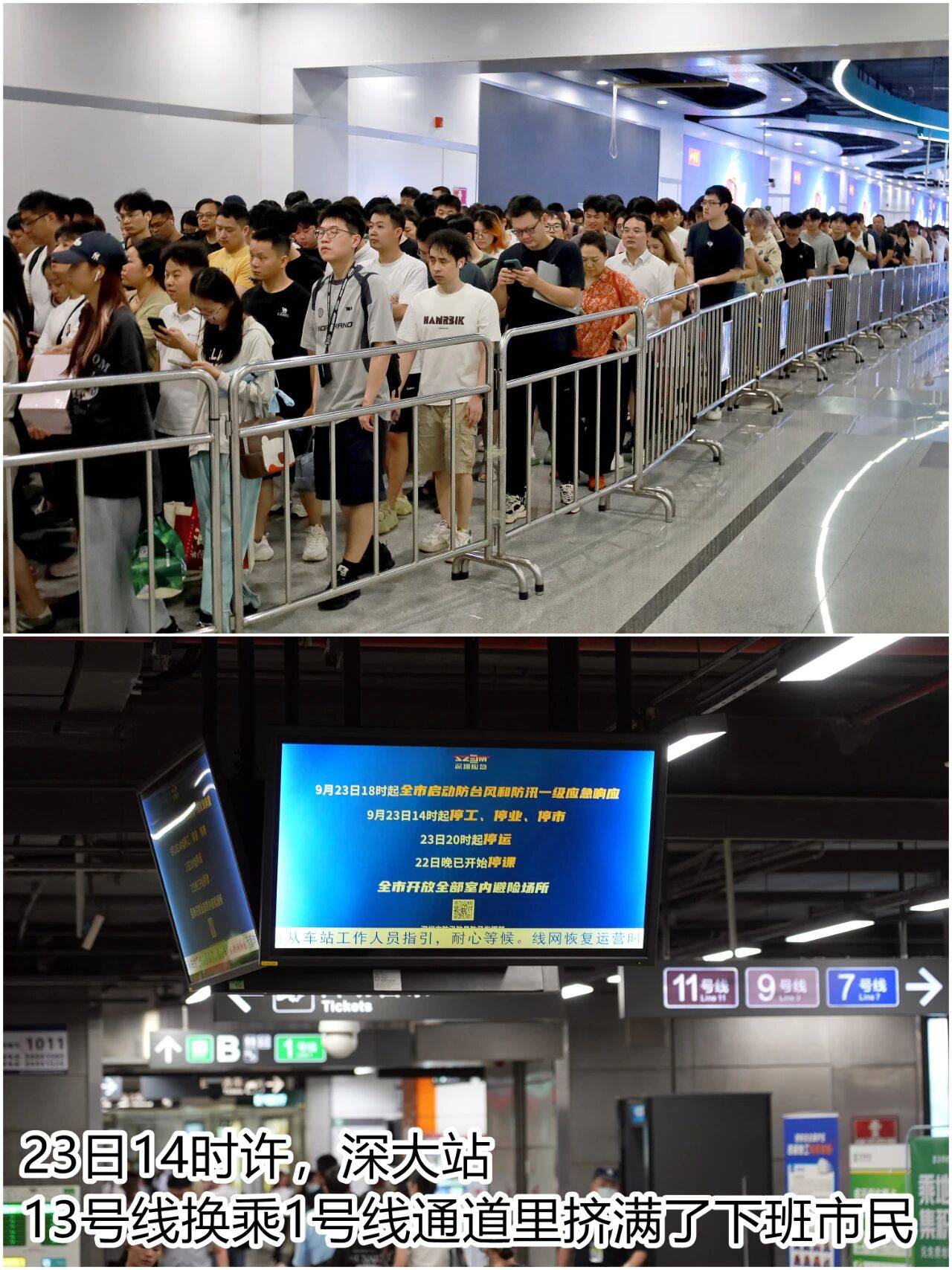个头大过广东！谨防风王“桦加沙”<strong></p>
<p>龙星化工股票</strong>，深圳人太硬核！这些务必码住