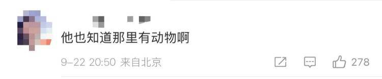 “感谢大家支持我大闹天宫……”蔡国强烟花秀现场感言视频披露<strong></p>
<p>深南电股票</strong>,又遭质疑!