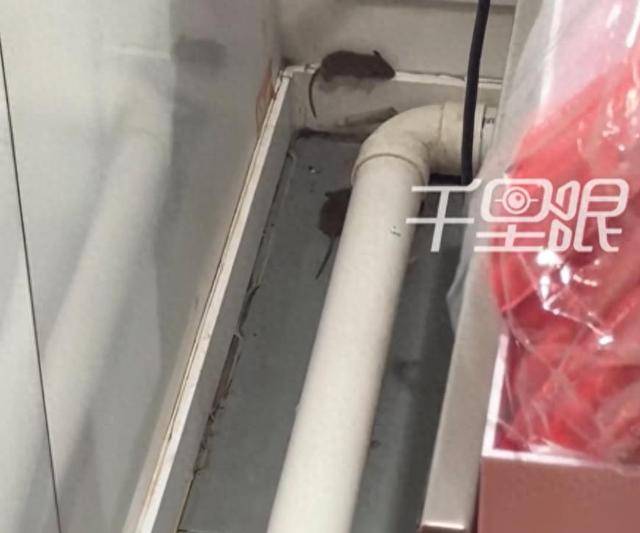 网曝蜜雪冰城一门店有多只老鼠横行<strong></p>
<p>博通集成股票</strong>,涉事门店员工回应