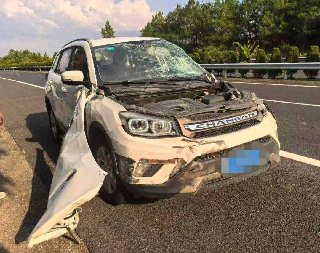 “我撒谎天打雷劈!”男子高速突然强行变道致翻车<strong></p>
<p>鲁信创投股票</strong>,反诬赖对方