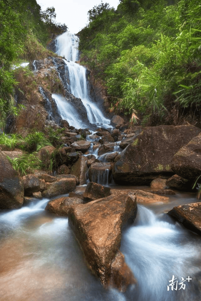 镇街周报|佛山“双节”文旅成绩单出炉<strong></p>
<p>中国嘉陵股票</strong>,谁最吸睛