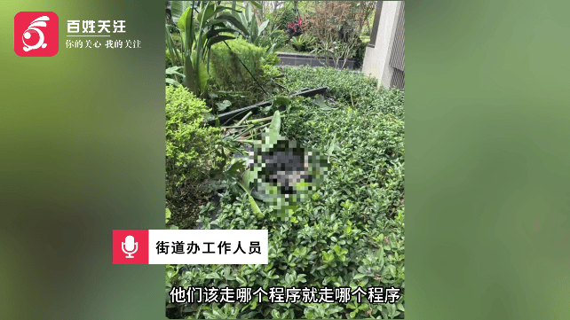 一门窗安装工人不慎坠楼身亡!知情人:从18楼连人带窗坠落<strong></p>
<p>杭齿前进股票</strong>,作业时没系安全绳