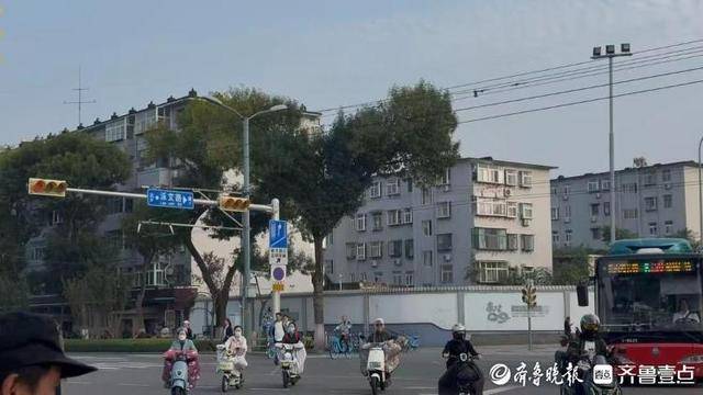 济南街头“恐龙树”走红<strong></p>
<p>皇氏乳业股票</strong>,园林部门:形态天成,或随天气而变