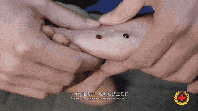 女子半夜上厕所<strong></p>
<p>600740股票</strong>,马桶里突然窜出一条蛇!