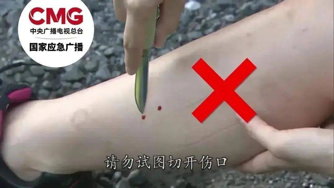 女子半夜上厕所<strong></p>
<p>600740股票</strong>,马桶里突然窜出一条蛇!