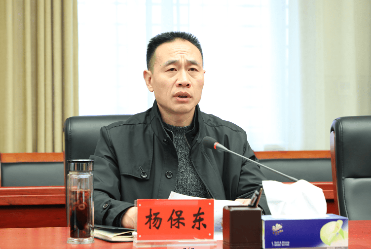 杨保东<strong></p>
<p>600303股票</strong>,主动投案