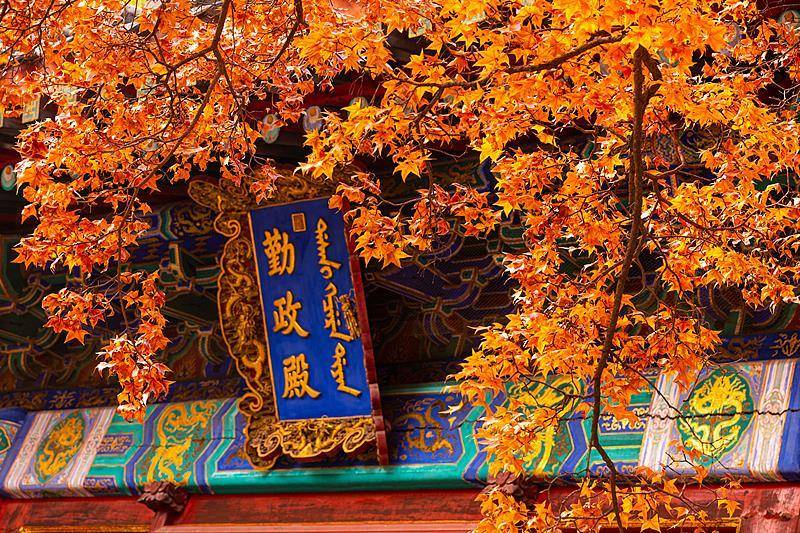 霜降已到<strong></p>
<p>600303股票</strong>,全国红叶上线中!这些“出片宝地”藏不住了