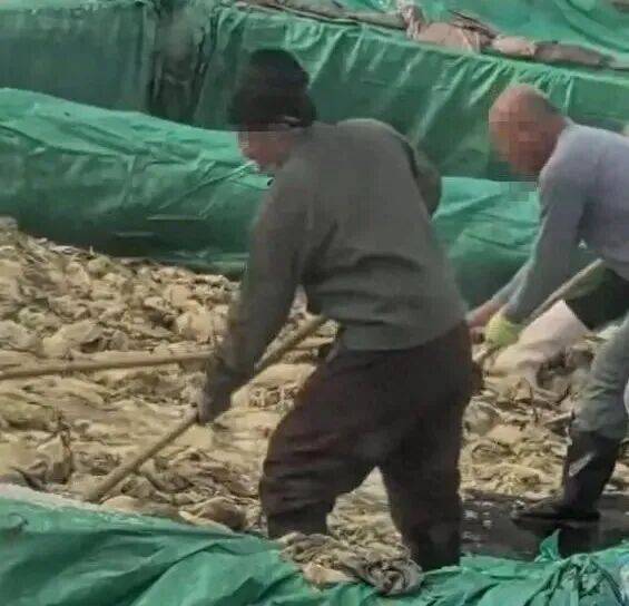 男子在酸菜池内抽烟吐痰<strong></p>
<p>300235股票</strong>,官方通报!