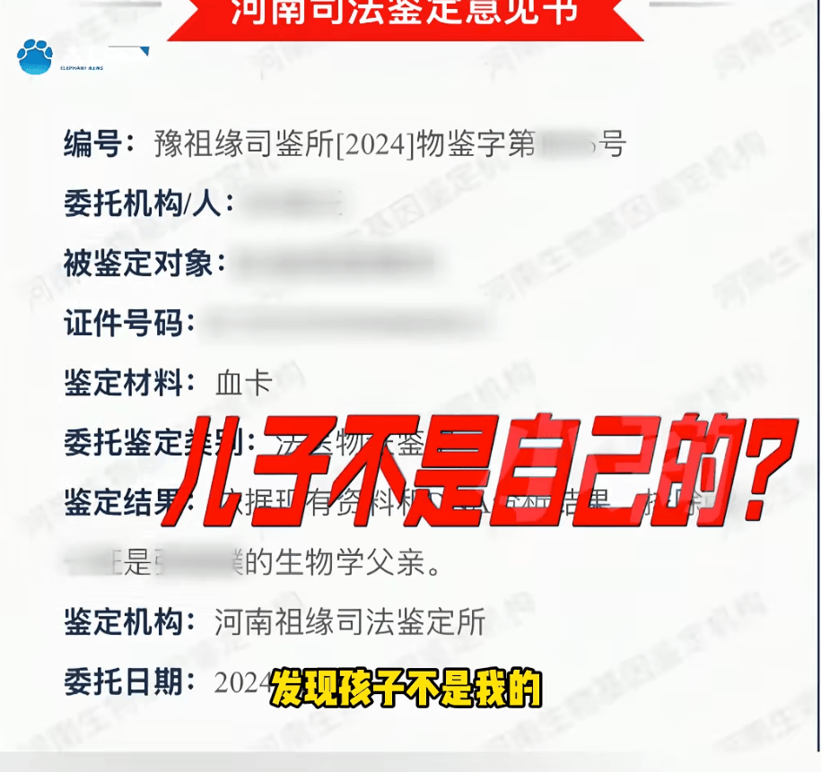 "天塌了<strong></p>
<p>顺丰股票002352</strong>,我一生都毁了", 男子称养了20年才发现儿子非亲生!前妻坚决否认