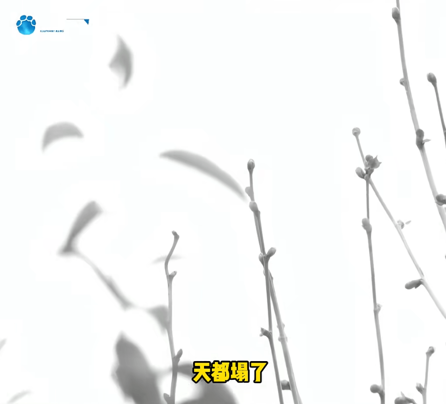 "天塌了<strong></p>
<p>顺丰股票002352</strong>,我一生都毁了", 男子称养了20年才发现儿子非亲生!前妻坚决否认