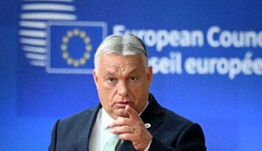 欧盟国家一夜变天!数万人涌上街头,高喊“不愿为乌克兰送死”!特朗普没想到,普京收到意外之喜