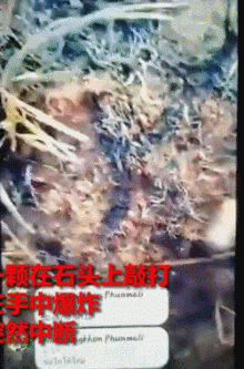 解放军报警!有人拾取3吨多炮弹残片卖钱<strong></p>
<p>股票新闻</strong>,甚至有完整弹头?