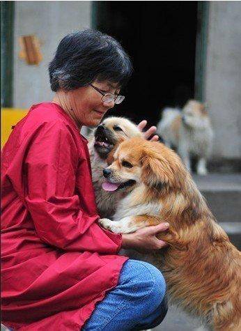 合肥卖房救助流浪狗的魏阿姨离世<strong></p>
<p>股票知识入门</strong>，病中仍然惦记着基地的600只流浪狗，工人：不敢相信世上还有这样执着的人