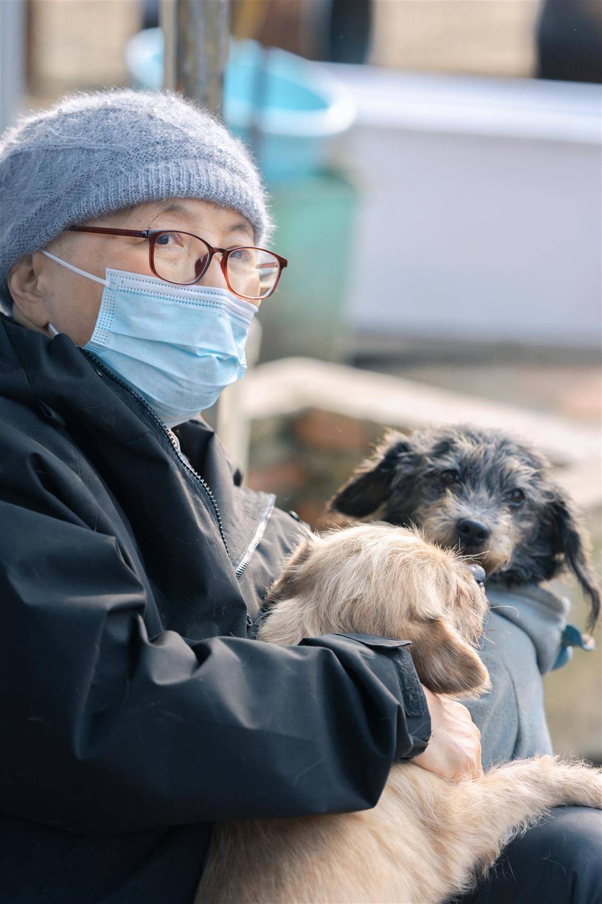 合肥卖房救助流浪狗的魏阿姨离世<strong></p>
<p>股票知识入门</strong>，病中仍然惦记着基地的600只流浪狗，工人：不敢相信世上还有这样执着的人