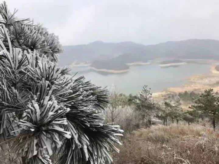 禁止任何形式穿越<strong></p>
<p>连云港股票</strong>!杭州一地发布最严禁令