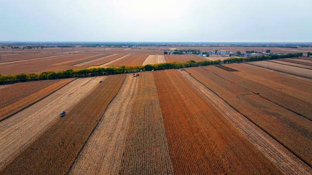 早八条丨春节假期共9天 2026年放假安排来了<strong></p>
<p>连云港股票</strong>！/长春市2025年“回长人才创业激励项目”申报启动