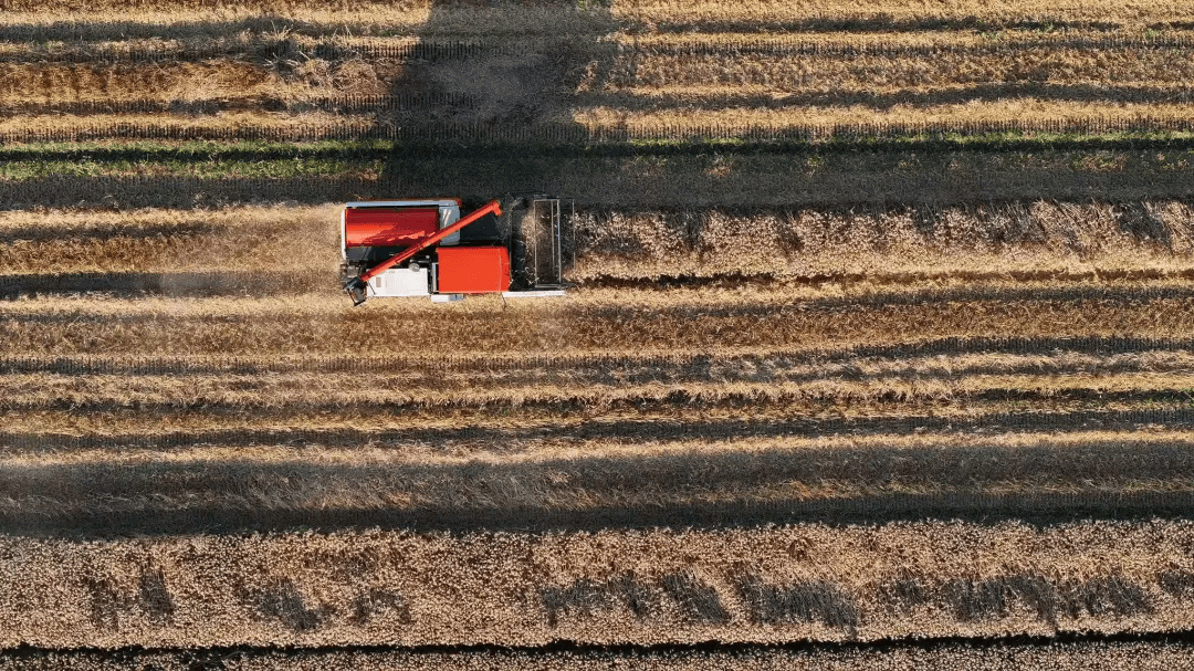 12时3分<strong></p>
<p>正荣股票</strong>，临海正式进入……