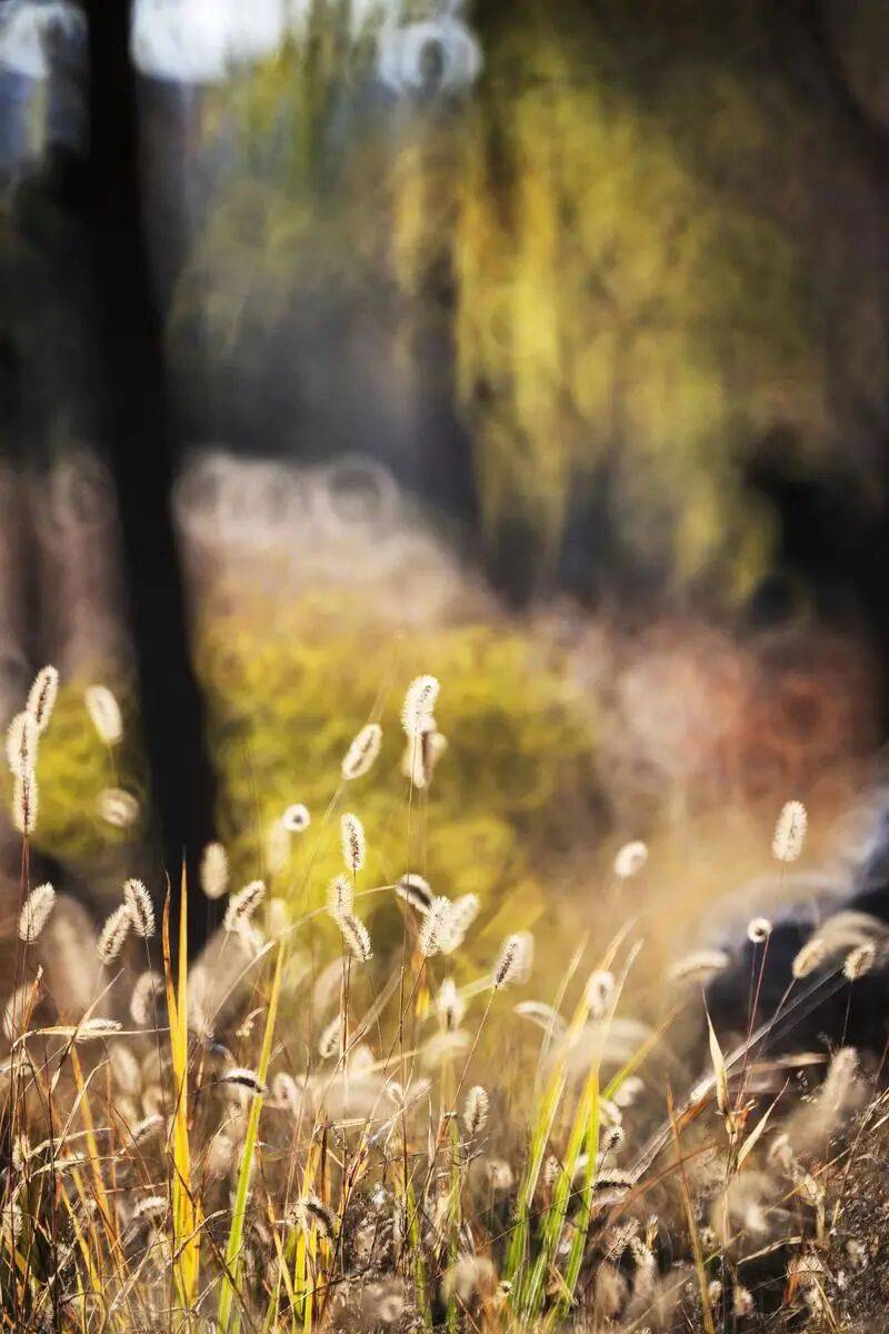 12时3分<strong></p>
<p>正荣股票</strong>，临海正式进入……