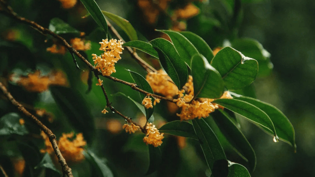 12时3分<strong></p>
<p>正荣股票</strong>，临海正式进入……